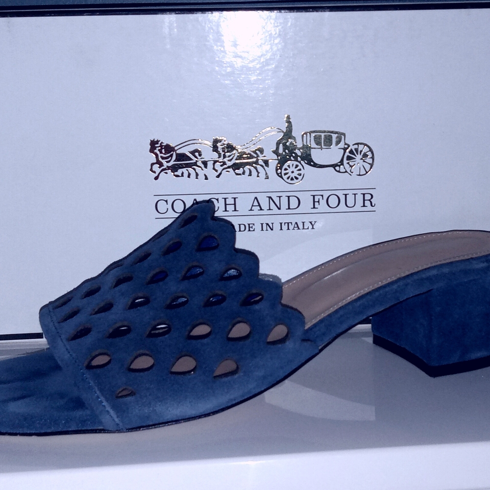 Coach and Four Blue Women's Shoes